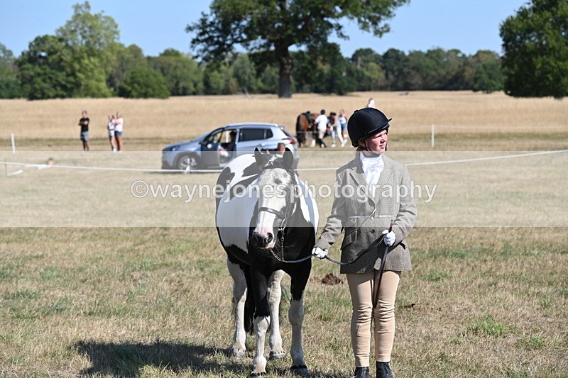 WJ6_7587 - Class 34 Judges Choice