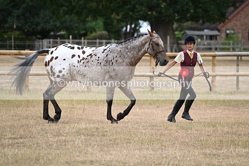 WJ6_8526 - Class 10 Coloured in Hand