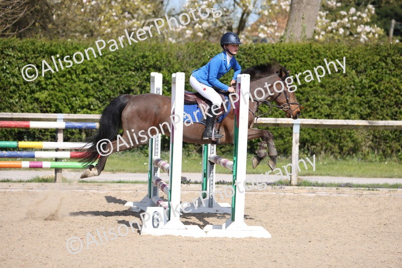 20250409-0516 - Class 4 - Pony British Novice
