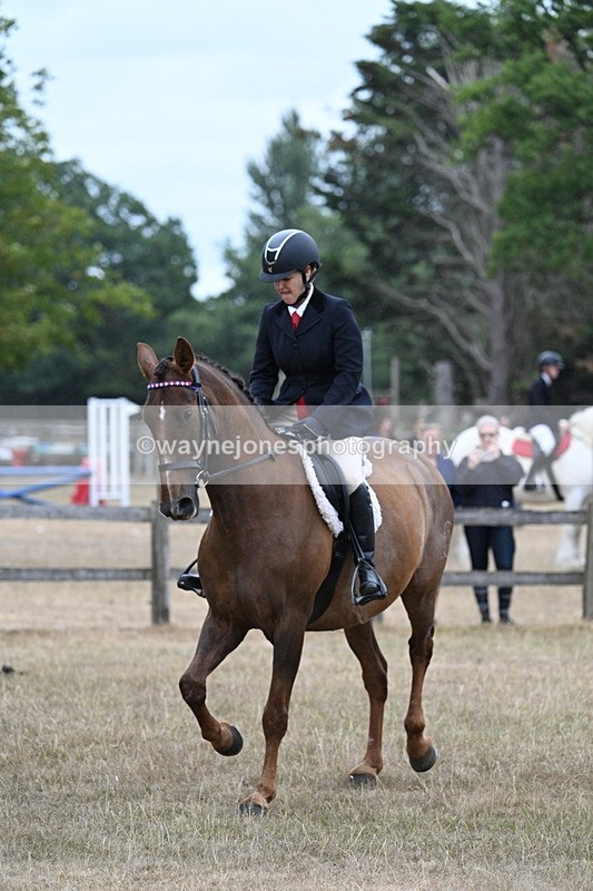 WJ7_0868 - Class 7 Riding Club Show Horse