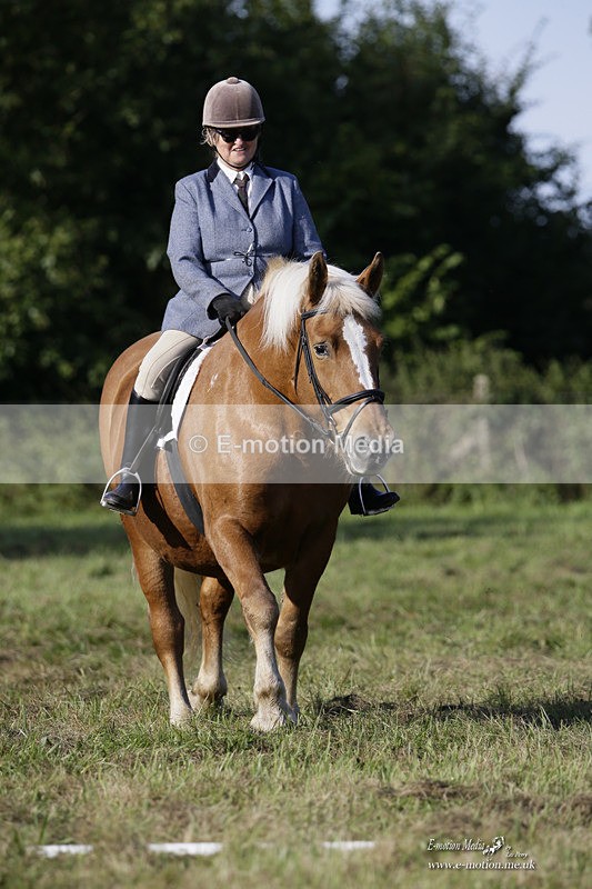 BVRC 120921 101 - Bourne Valley Riding Club UA Dressage & Show Jumping 12/09/21