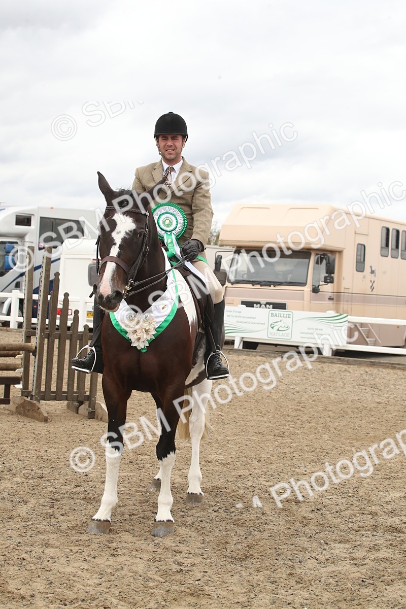 SBM_18324 - Class 509a - Working Veteran - 80cm (15-19)