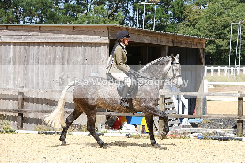 1X9A8799 - Class 19: Riding Club Horse