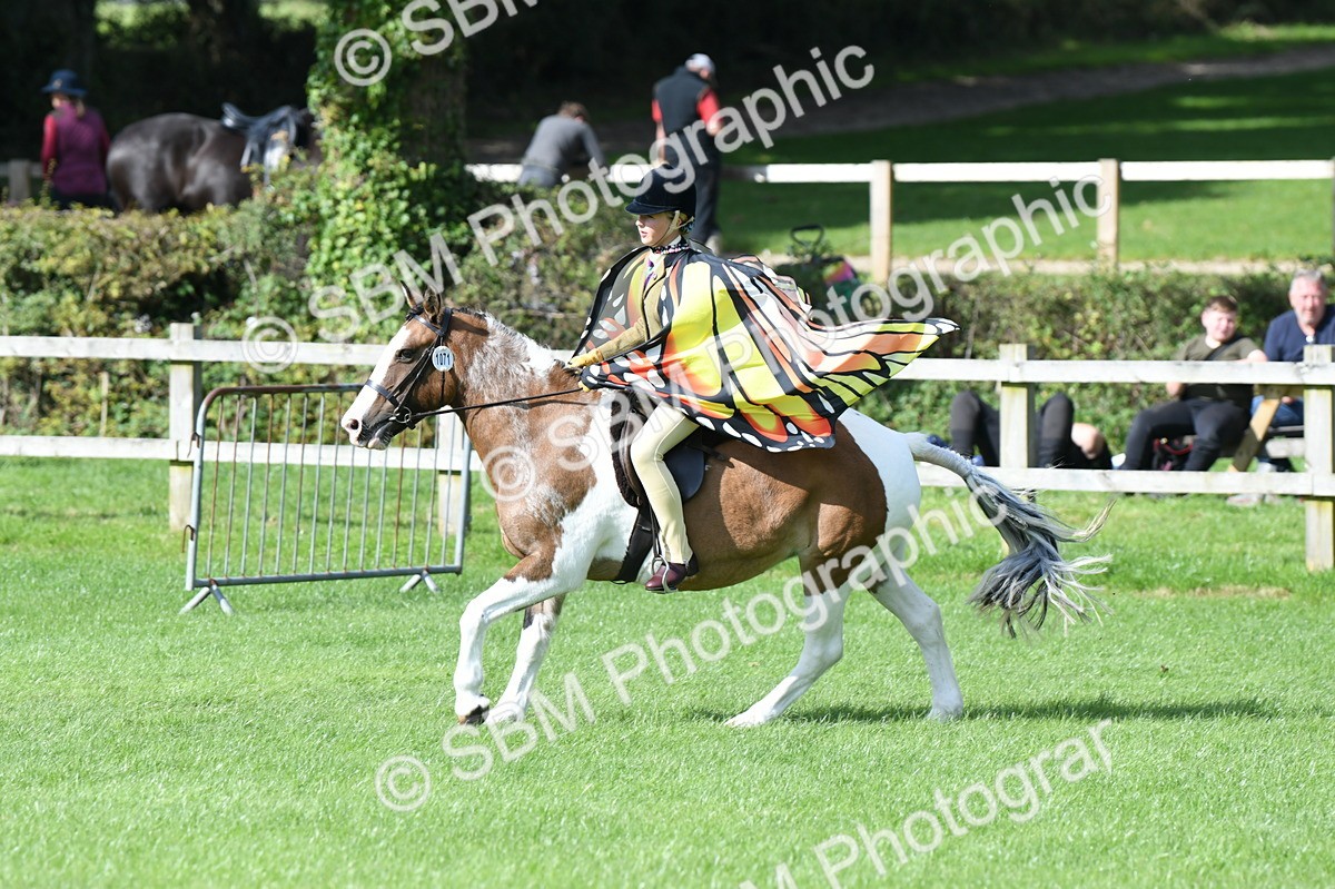 SBM_47098 - S12 - Family Horse & Pony
