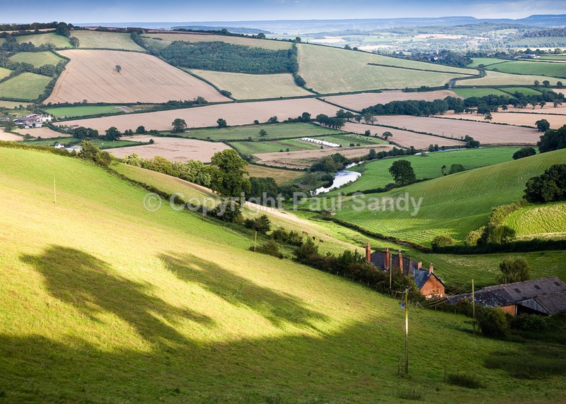 Like Giants, Exe valley looking towards Silverton - Seeing the Wood AND the Trees