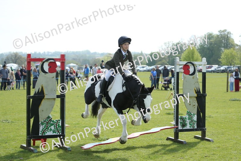 20260426-1521 - Class 14 - Novice 60cm
