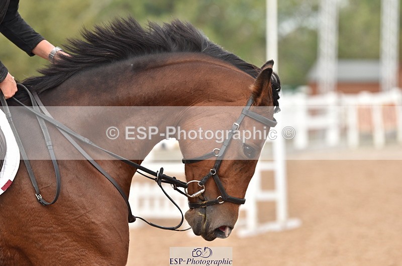 231011A-124146-00449 - Cls 3 Snr 1.05m