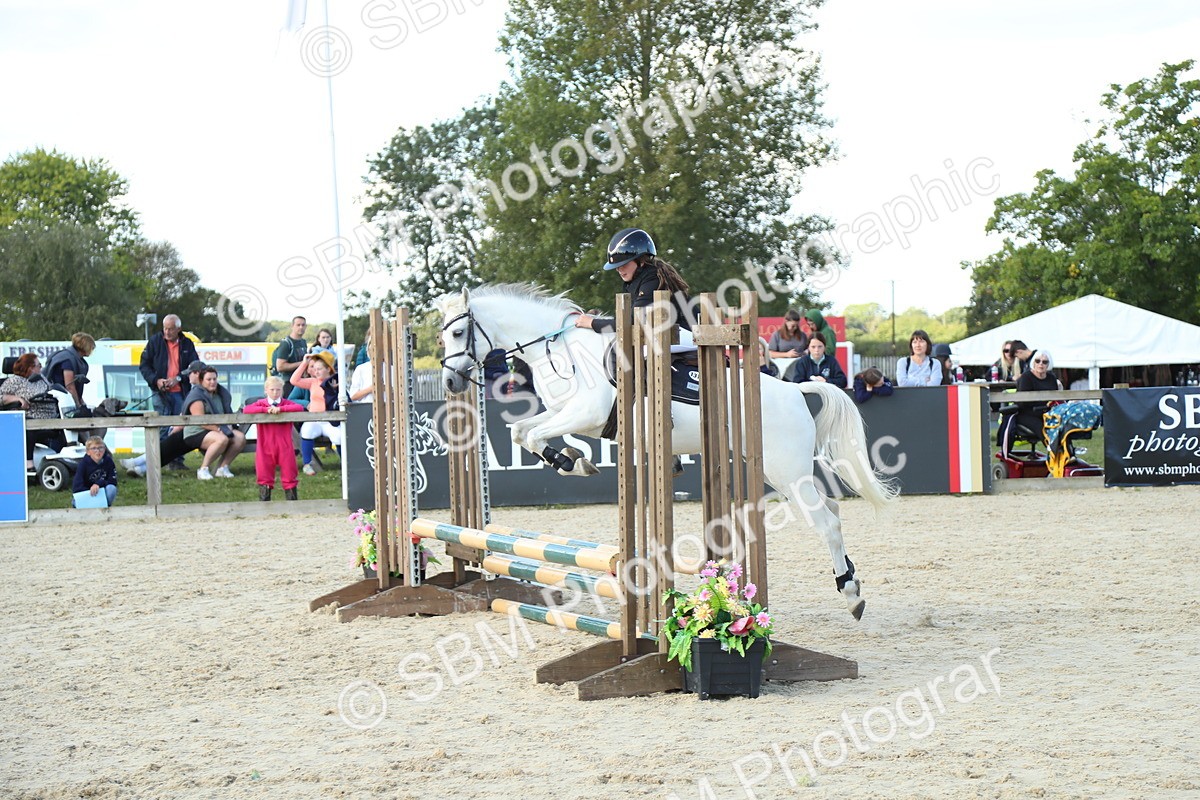 SBM_39420 - J6 - Junior Pony 55cm Championships