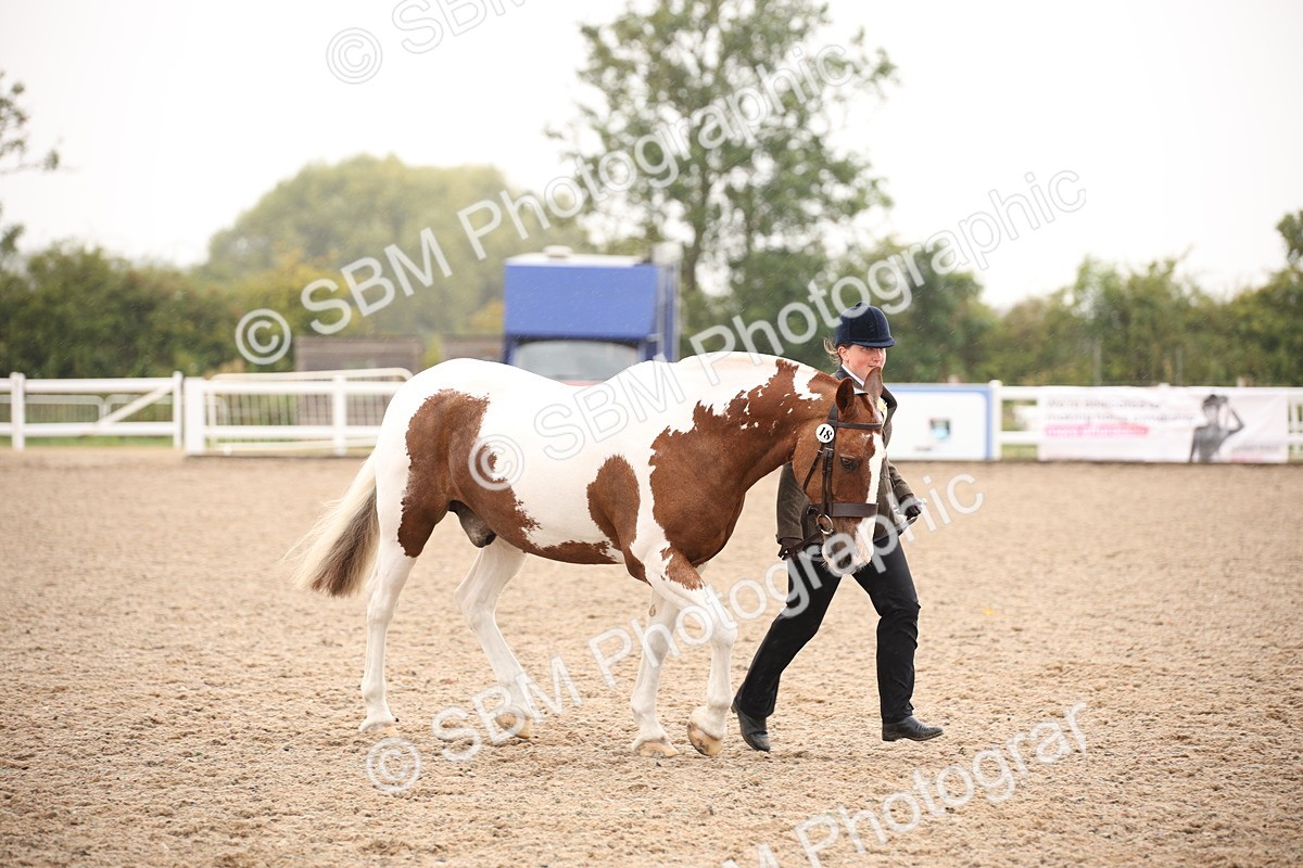 SBM_20234 - Class 703 - IH  Coloured