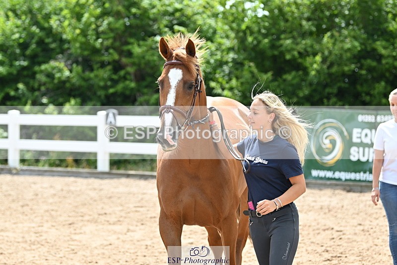 240717A-144406-02251 - Trot Up 2pm to 3pm - This folder is not in time order