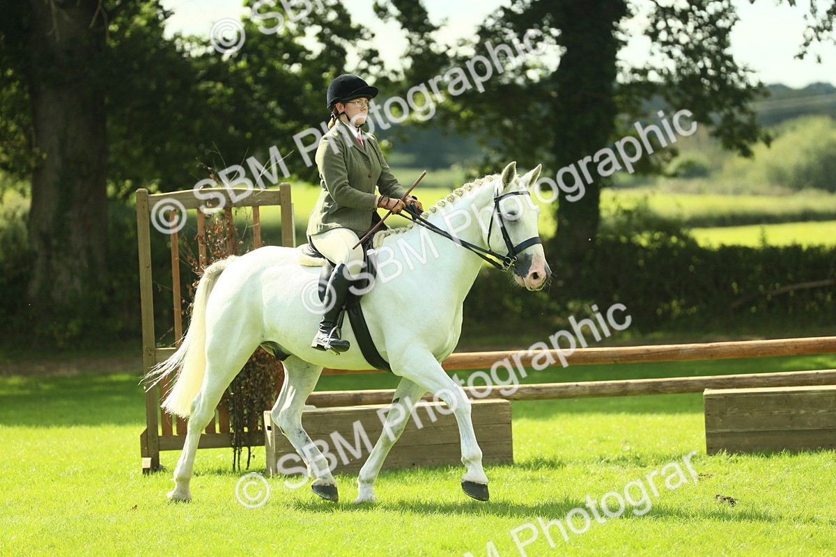 SBM_47926 - S32 - Novice & Newcomers Working Hunter