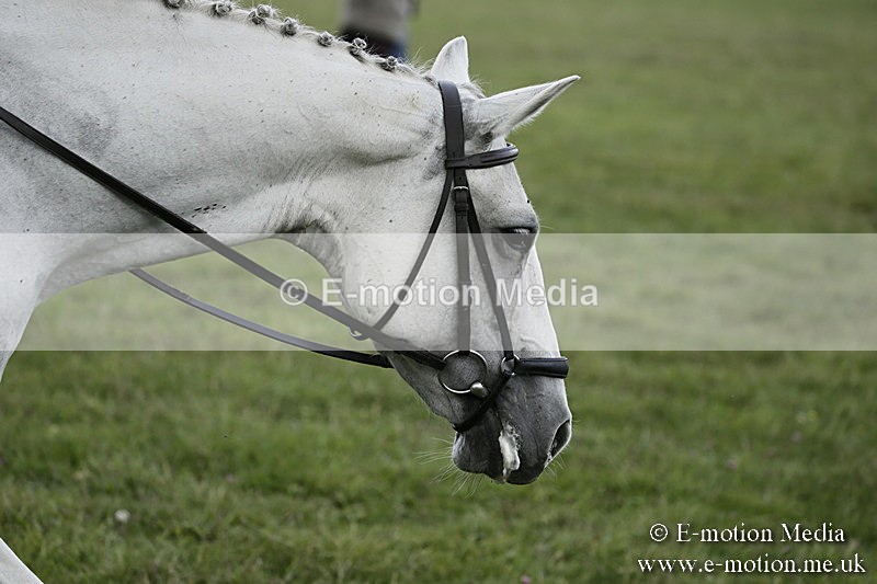 BVR090918 186 - BVRC Dressage and Show Jumping 09/09/18