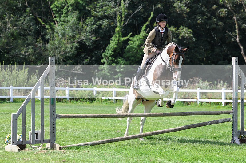 3E7A8594 - Class 5: Working Show Horse