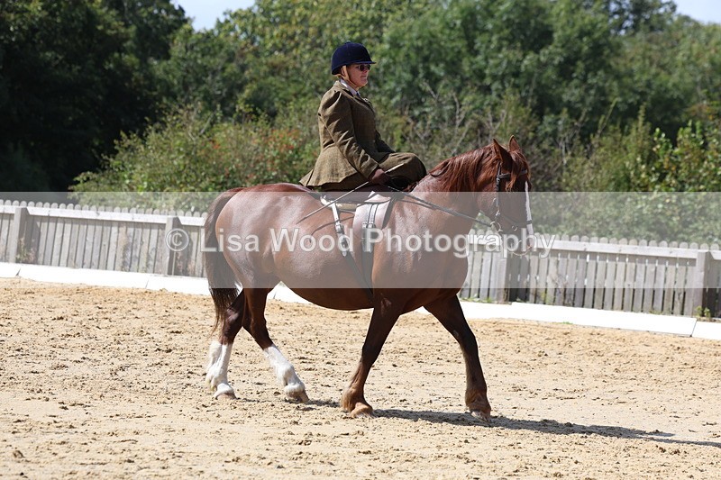 3E7A3544 - Class 7:  Preliminary Music