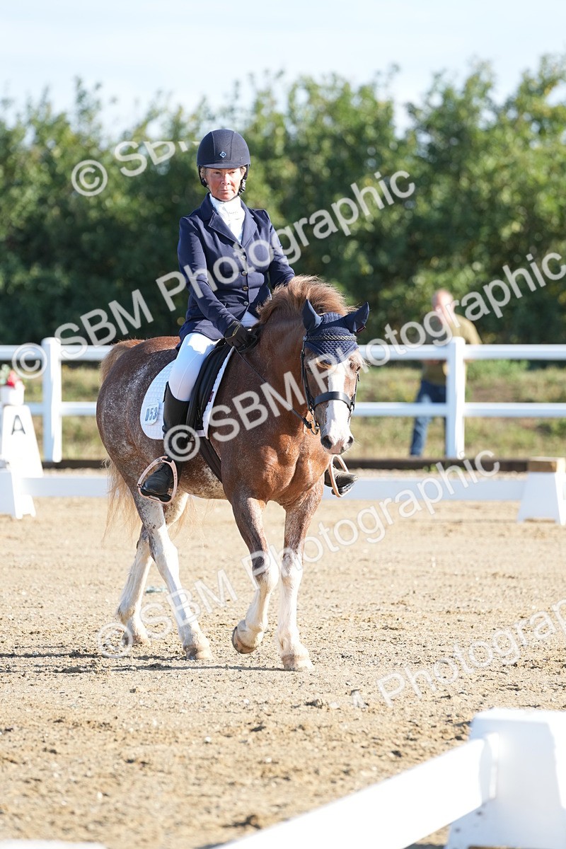SBM_000302 - Class 2 - Intro 4 Champs - 8.30-9.26