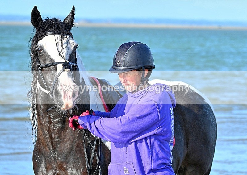 WJ7_3600_1 - Kellie & Churchill ... do Hayling Island 25-08-24