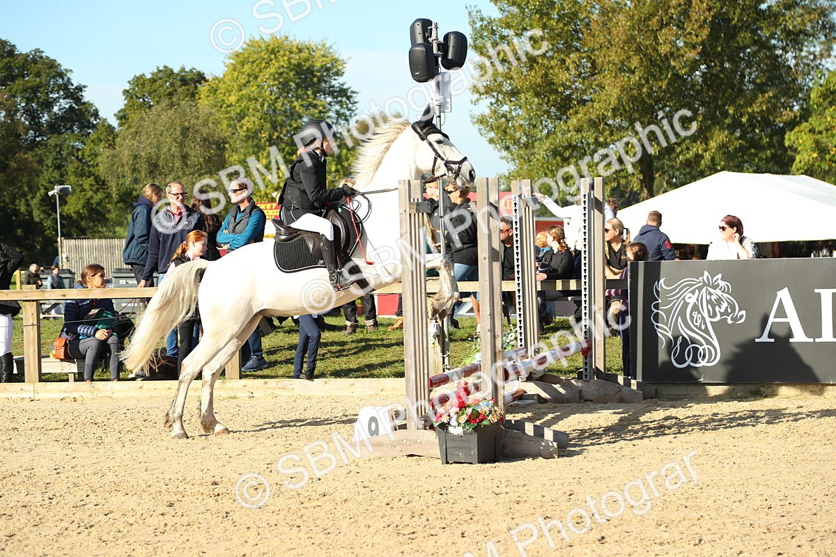 SBM_35818 - J5 - Junior Pony 50cm Championship