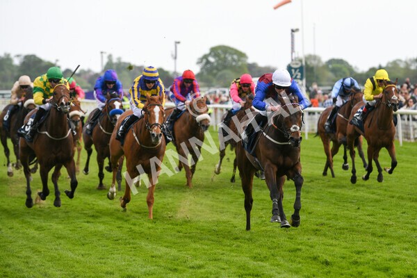 yr13052022r7-32 - Race 7 5.15pm Longines Irish Champions Weekend Stakes