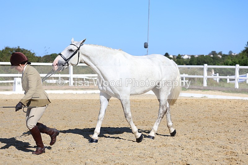 3E7A5579 - Class 9: Open Ridden Hunter