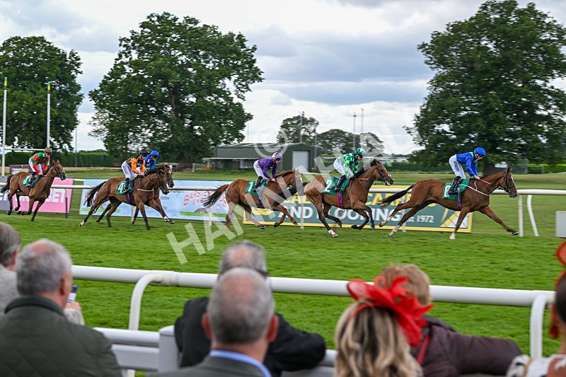 080825-Race 5-Paddy The Squire-2579 - Race 5