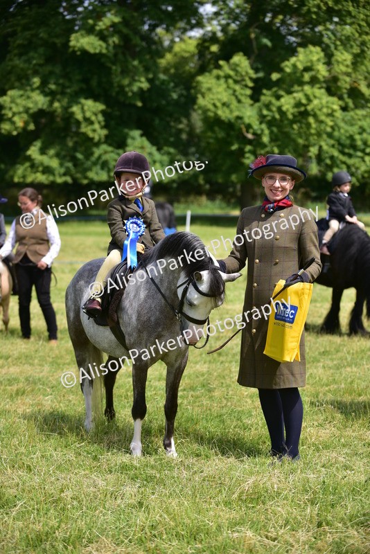 20260614-1288 - Class 11a - Lead Rein Pony (Unplaited)