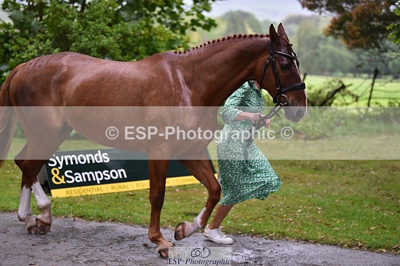 240522-153312-00426 - 367-CROSSTOWN_FINTANS_LAST-Catherine_Burrell