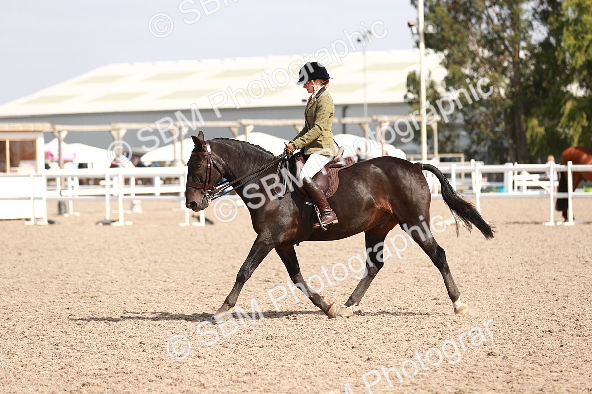SBM_14901 - Class 212 Ridden Hunter - Small
