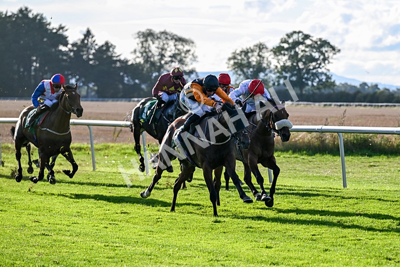 140926-Race 7-Forest Caper-7937 - Race 7 5.21pm Bowel Cancer Screening Programme Saves Lives Handicap