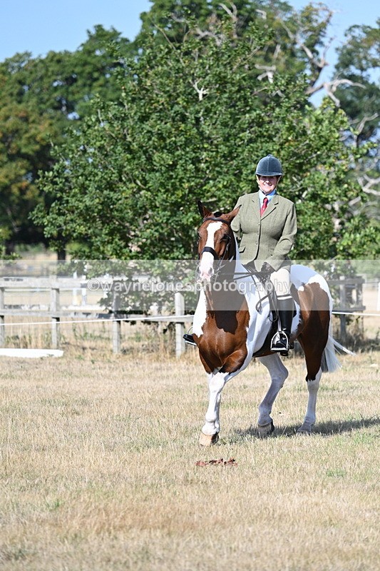WJ7_2859 - Class 8 Ridden Tack & Turnout