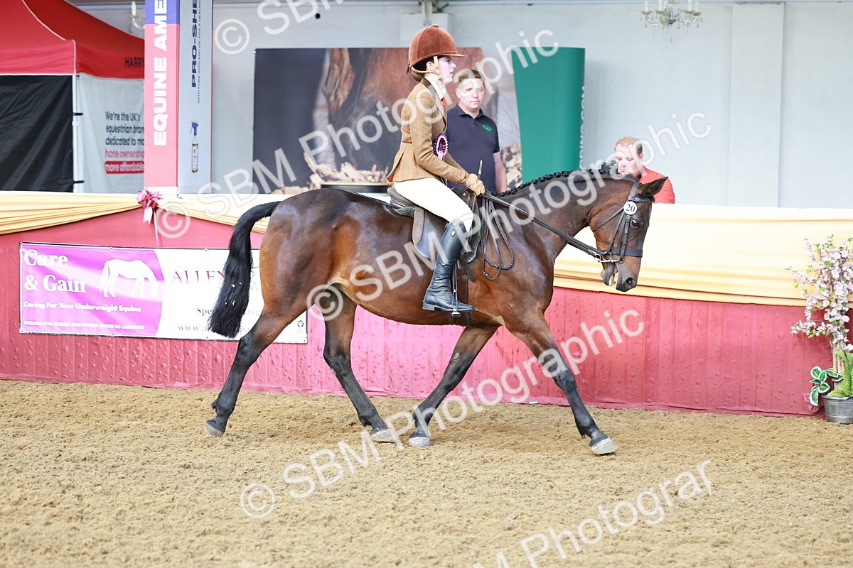 SBM_12025 - Class 102 - Equitation (Best Rider) Adult
