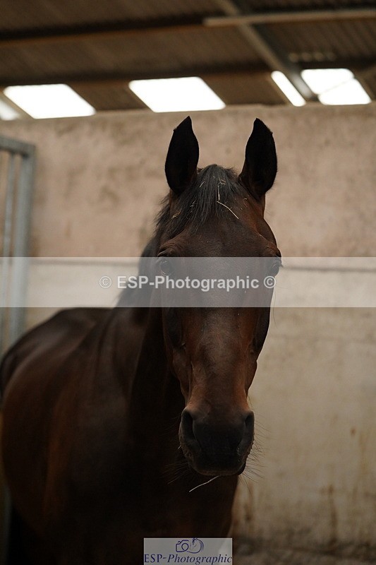 240809A-134840-01040 - Stable Shots