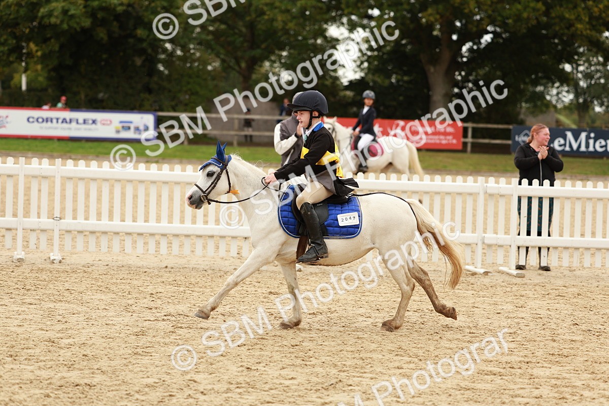 SBM_58122 - J11 - Junior Pony 50cm Championship