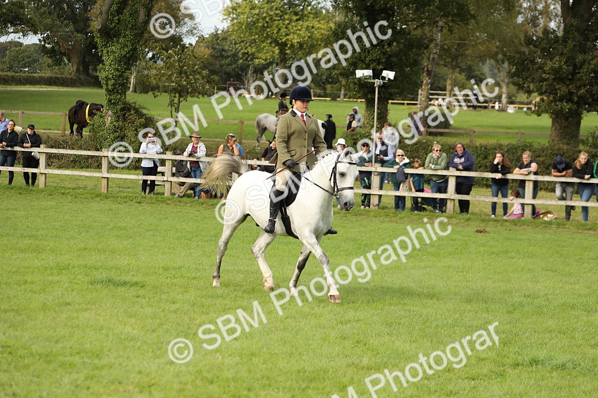 SBM_71529 - S41 - Ridden Equitation (Best Rider)