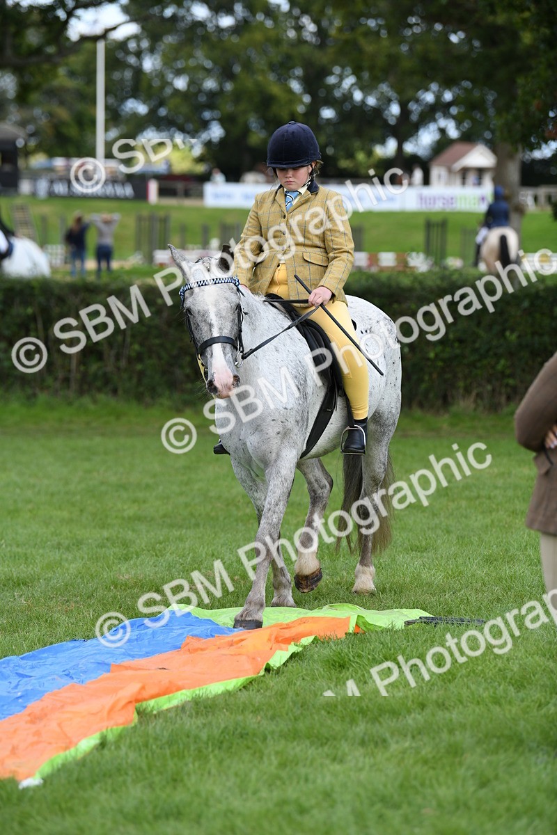 SBM_47178 - S12 - Family Horse & Pony
