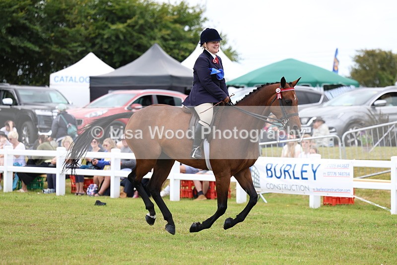 3E7A1294 - Class 8: Open Riding Horse/Hack