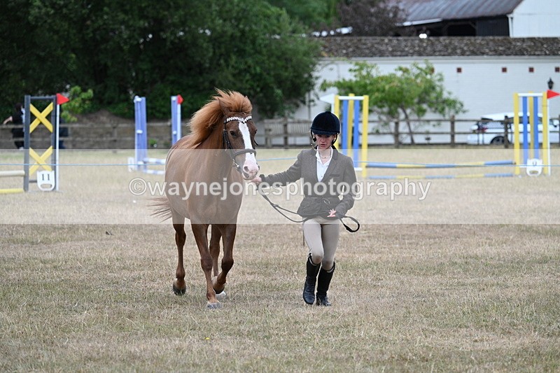 WJ7_8186 - Class 4 Prettiest Mare up to 14.2hh