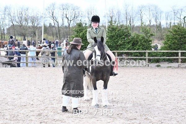 BPP_7383 - RING 1  (RIDDEN HORSES / IN HAND / VETERAN ETC)