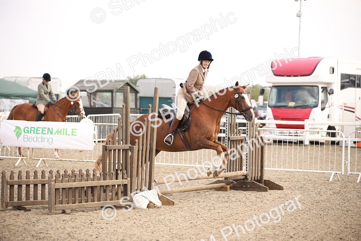 SBM_13589 - Class 406b - Working Veteran 50cm (20+)