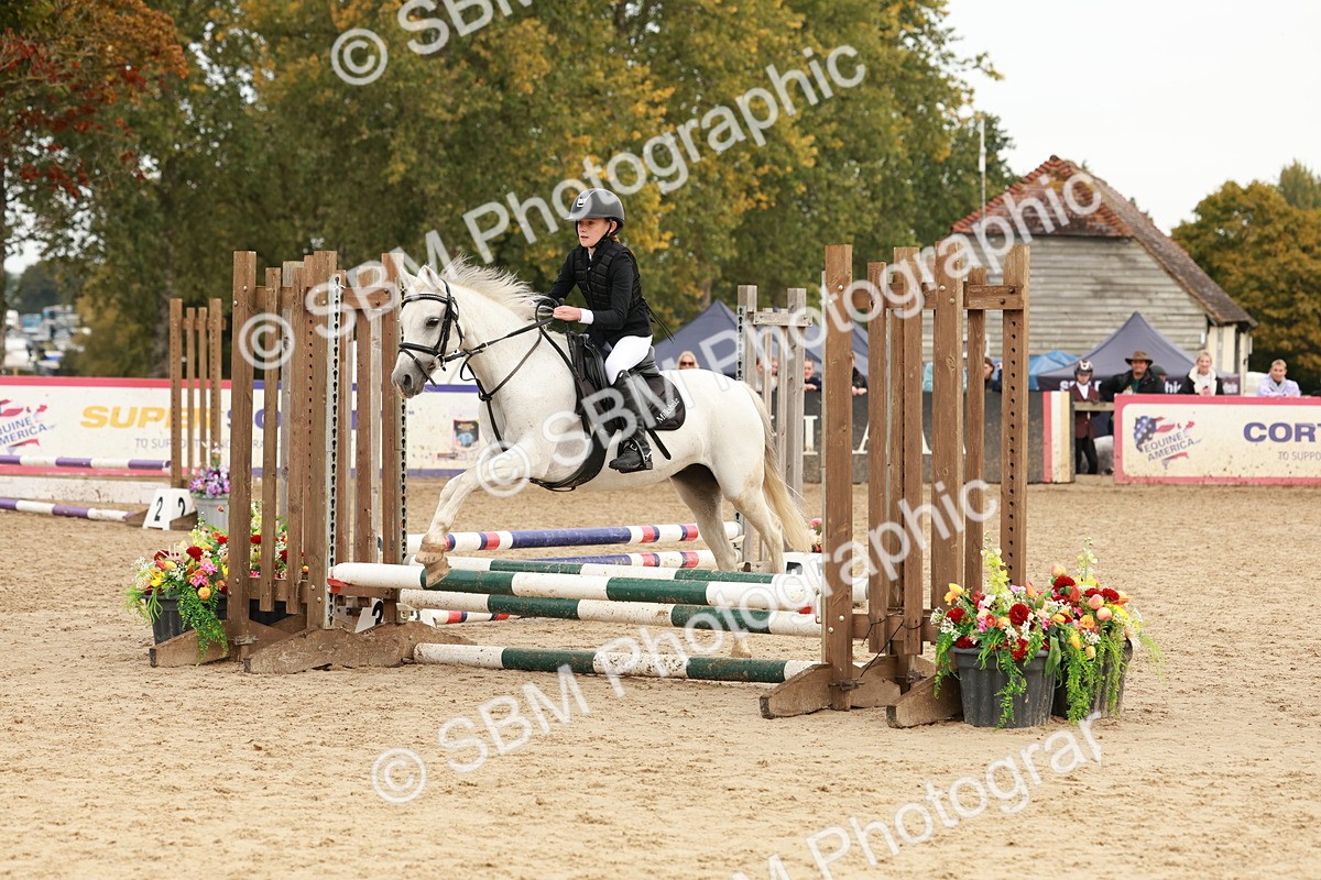 SBM_57628 - J11 - Junior Pony 50cm Championship