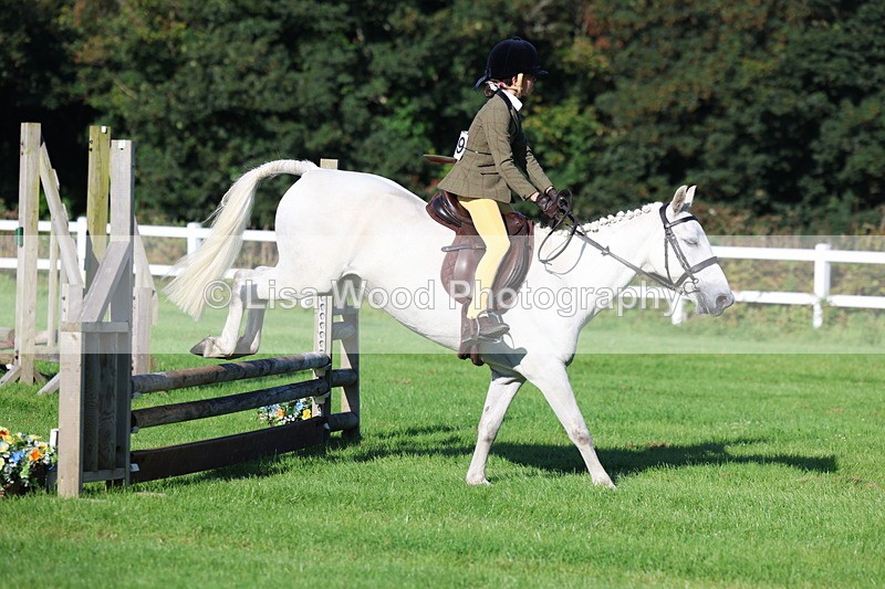3E7A7513 - Class 1: Novice Working Hunter Pony