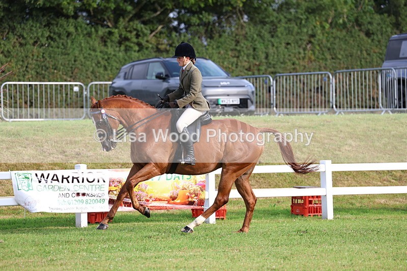 3E7A7821 - Class 1: Rising Star Small Hack/Riding Horses