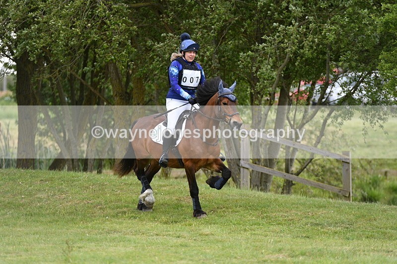 WJ5_2425 - Class 2 40cm