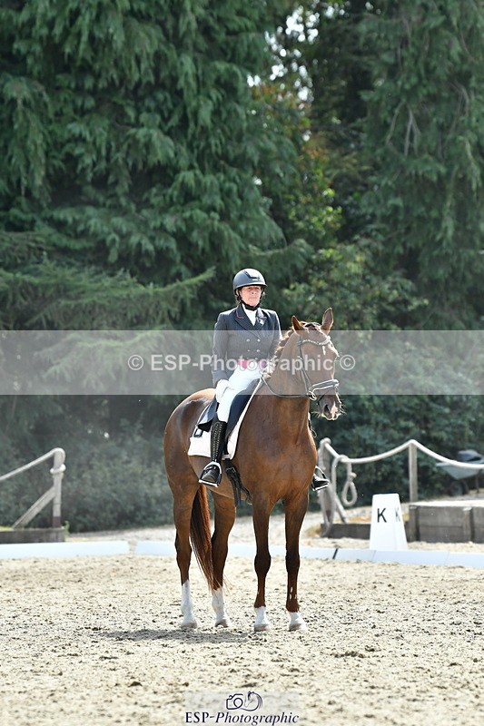 260802A-152706-07411 - Intermediate Bronze
