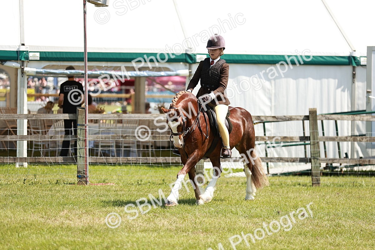 SBM_15514 - Class 108-109 - BSPS LIHS Open Gradle & Nursery Stakes