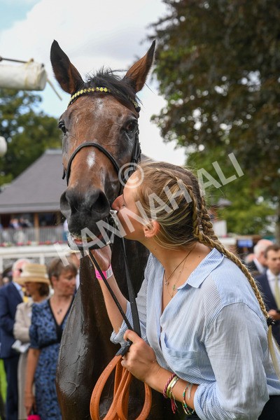 240823-Race 5-Sea Theme-0646 - Race 5 4.10pm British EBF & Sir Henry Cecil Galtres Stakes