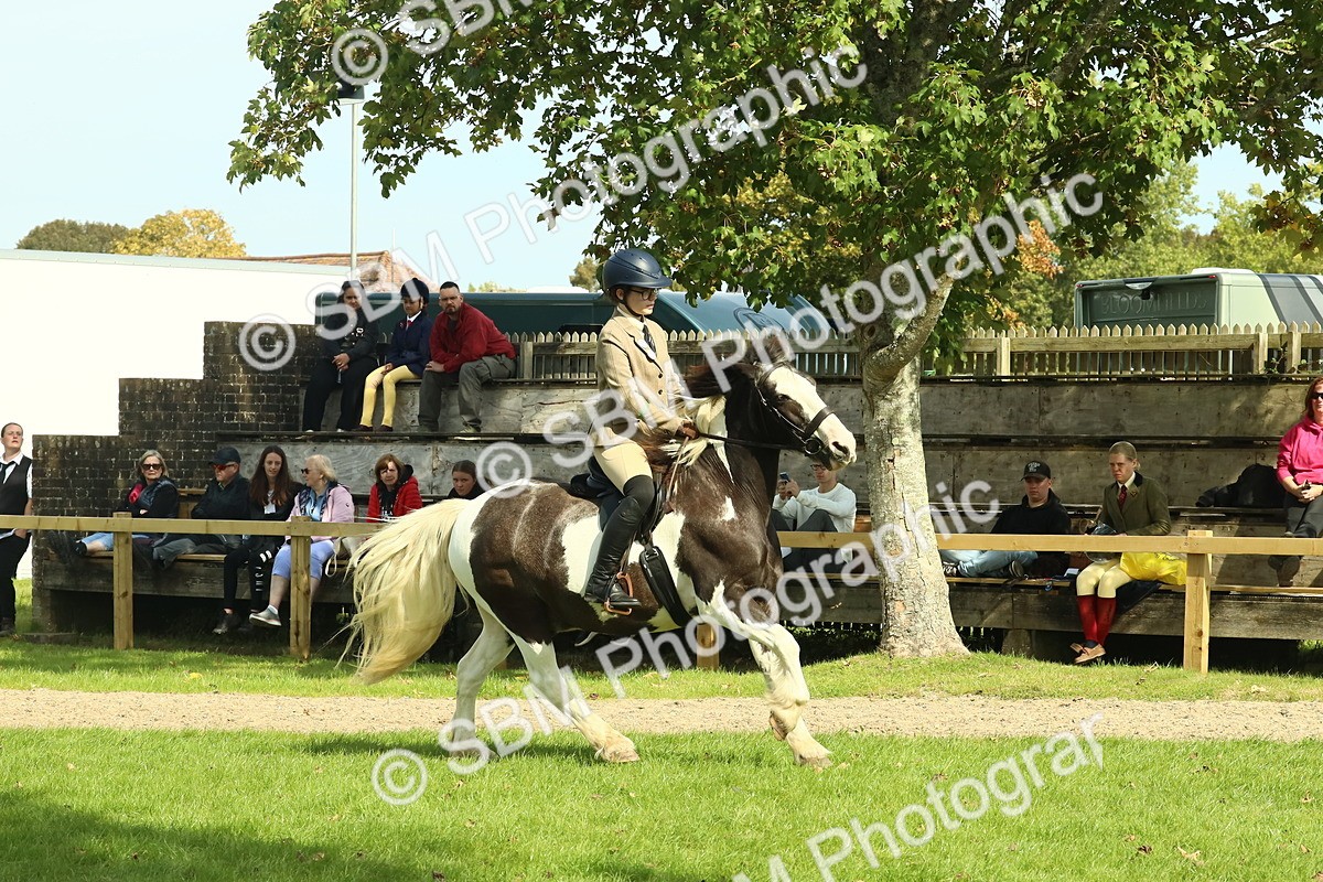 SBM_67522 - S56 - Coloured Pony Ridden