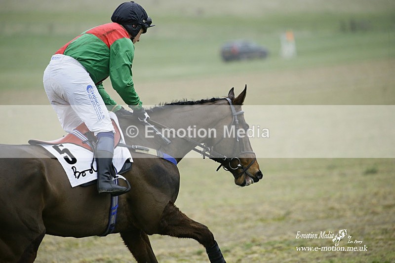 PtP 200222 577 - Countryside Alliance PtP Badbury Rings 20/02/22
