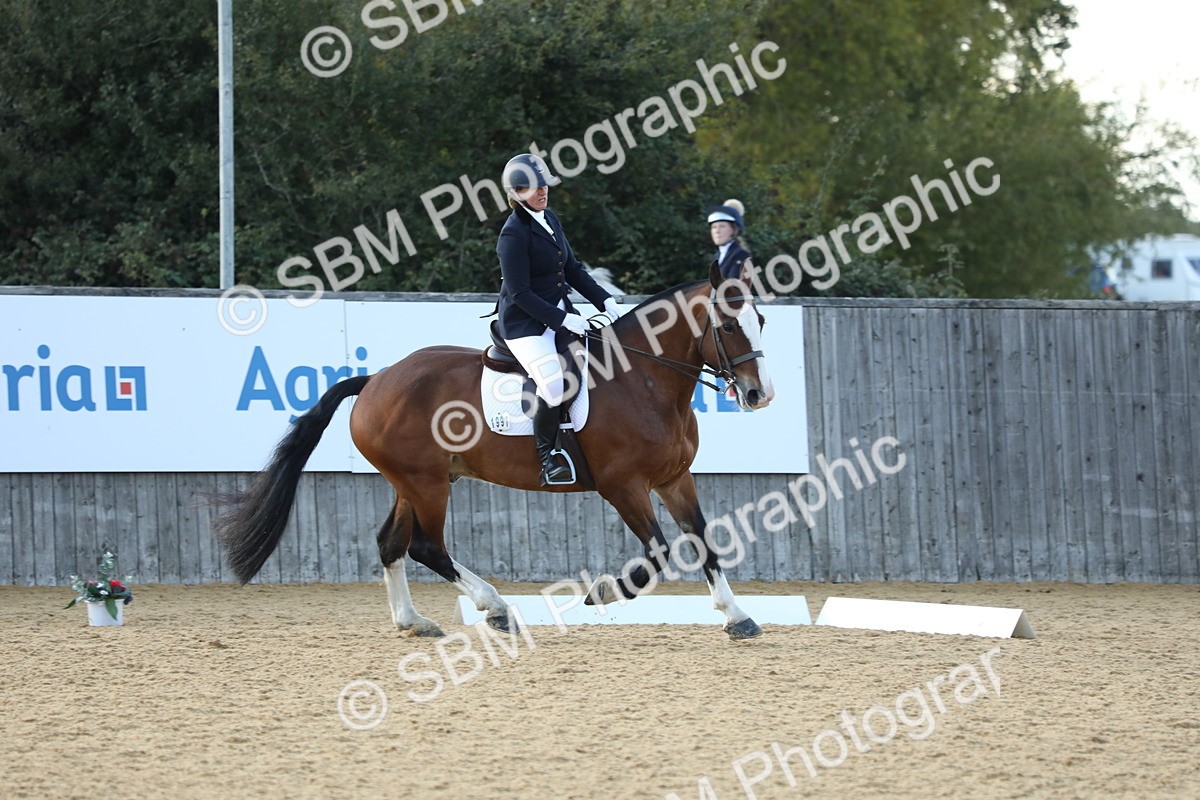 SBM_28672 - D20 - Grand Tour Championship - Elementary 44