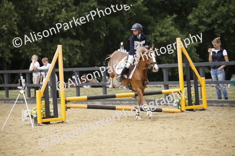 20250622-5927 - 60cm