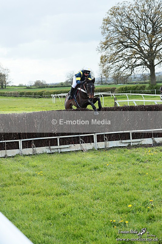 PtP 180426 862 - Worcestershire Hunt PtP Chaddesley Corbett 18/04/26